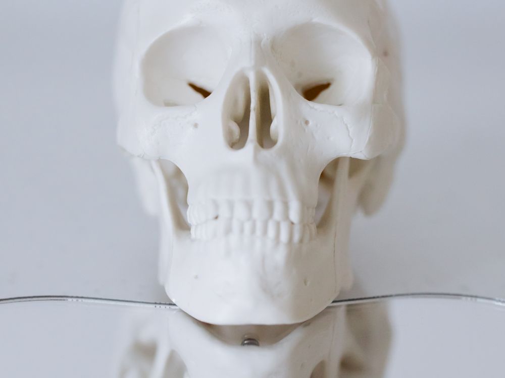 Dental Crown